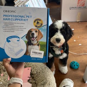 Pet grooming kit. NWT